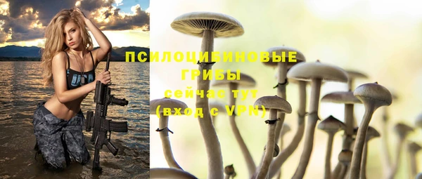 дистиллят марихуана Медногорск