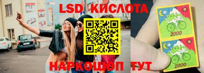 хмурый Камышлов