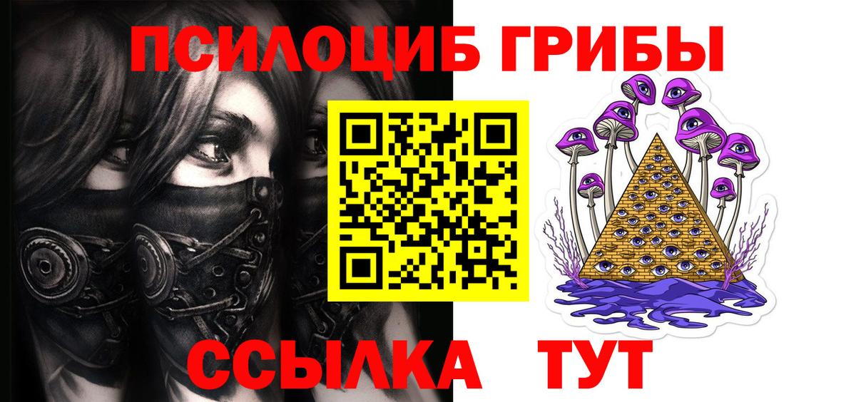 Карасук  Псилоцибиновые грибы мицелий  Псилоцибиновые грибы Psilocybine cubensis  Вход с VPN 