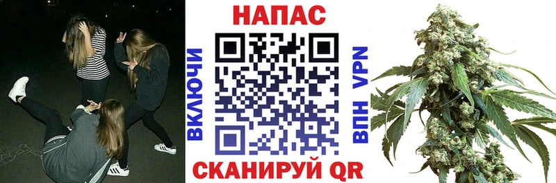 Каннабис семена Карасук